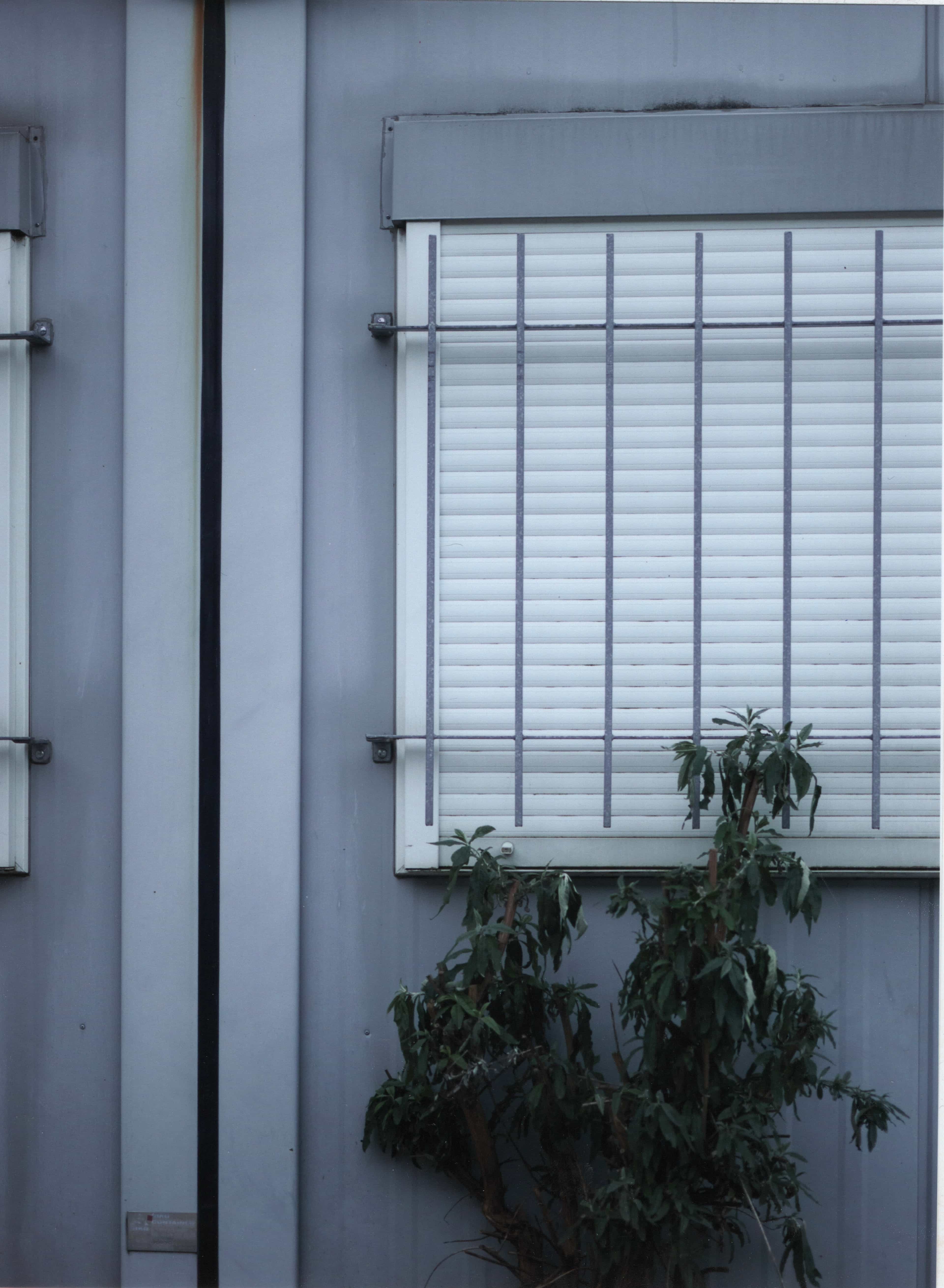 Untitled Series I-II