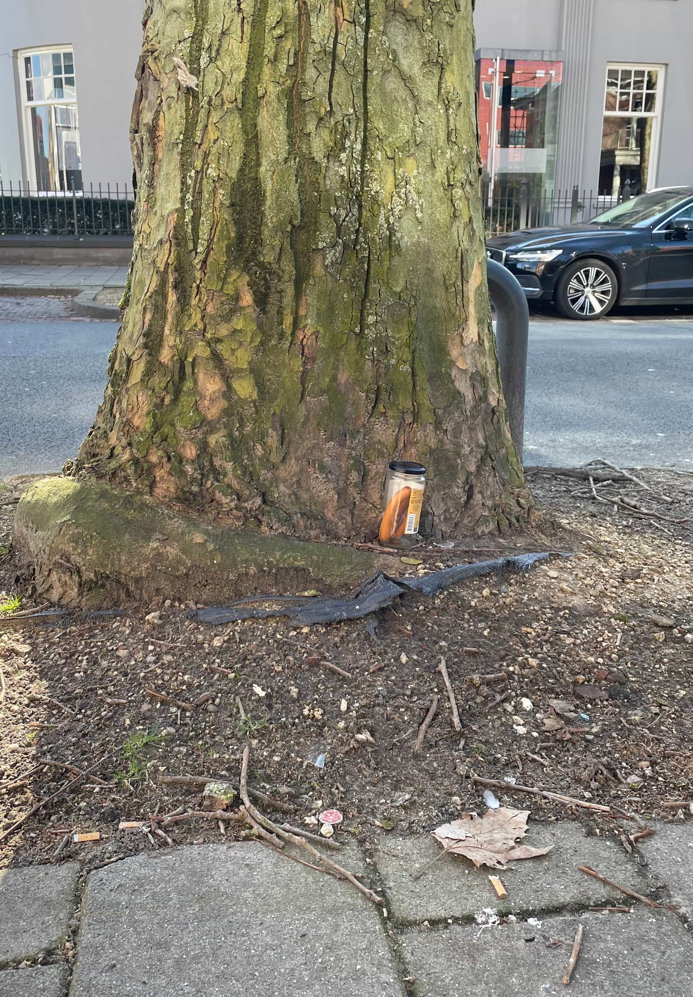 „3 Wieners 1 Jar“ Foto / 2025